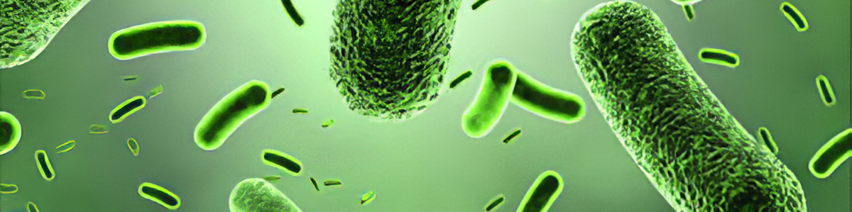 Bacterial Infections - What are bacterial infections? Causes Symptoms Diagnosis Treatment Medication