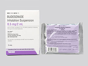 Budesonide Ampule — prescription drug image